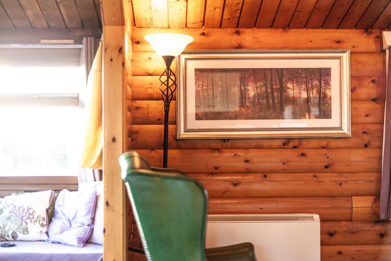 Log Cabin Nestled In The Mountains Of Snowdonia By Seren Property Trawsfynydd 외부 사진